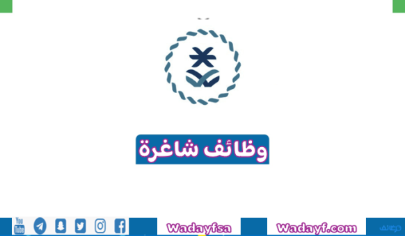 هيئة المحتوى المحلي تتيح 5 وظائف شاغرة بمختلف المجالات الوظيفية